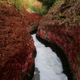 The Wider Image: Dying "Mother Ganges": holy river succumbs to pollution